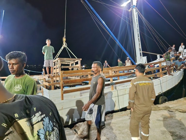 Padati Pelabuhan Kobisadar, Ratusan Ekor Sapi Siap Dikirim ke Sorong 