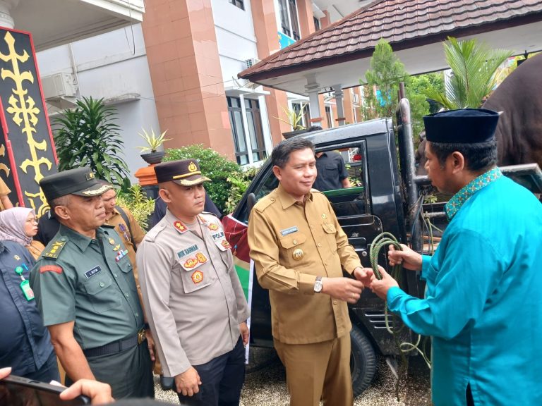 Pemkot Ambon Serahkan 105 Hewan Qurban Jelang Idul Adha 2025
